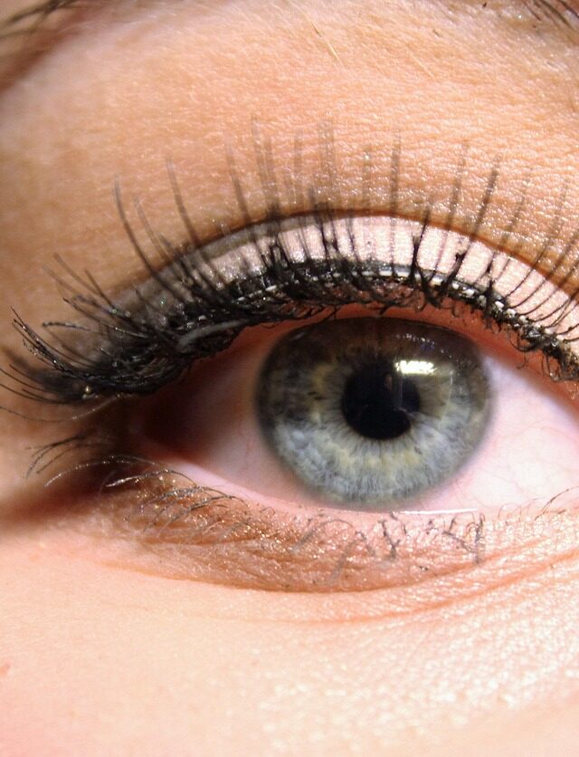 eye blue false lashes eyelashes 1684961